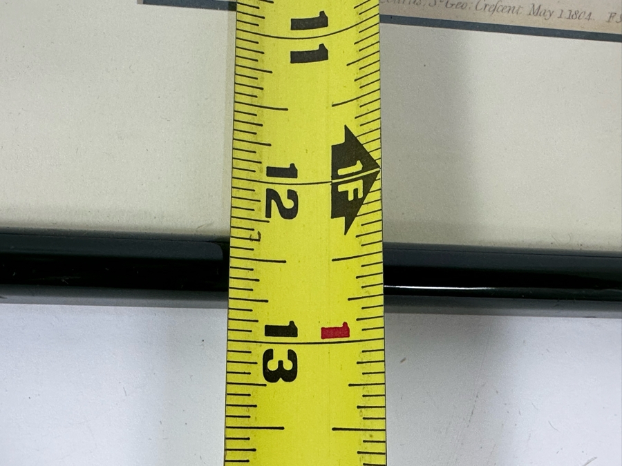 Set Of Three Antique 1804 Botanical Prints 9.5 X 12.5 [Photo 14]