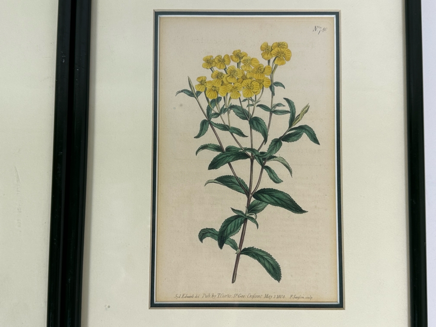 Set Of Three Antique 1804 Botanical Prints 9.5 X 12.5 [Photo 8]