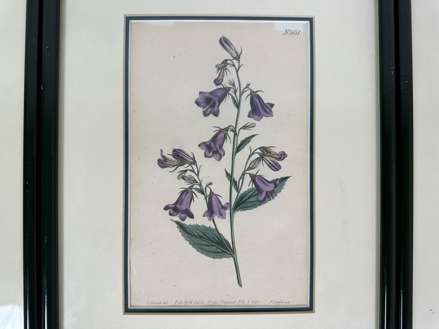 Set Of Three Antique 1804 Botanical Prints 9.5 X 12.5 [Photo 4]