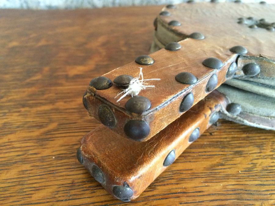 Vintage Bellows [Photo 11]