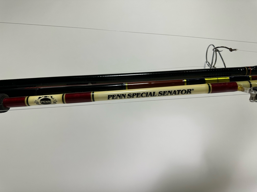 Three Salt Water Fishing Reels / Poles Including A Penn Senator 113HLW ...