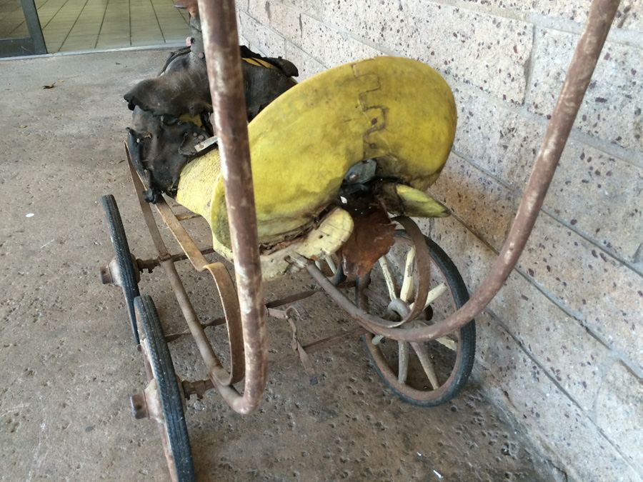 Vintage Child's Stroller Horse Saddle for Restoration or Display [Photo 10]