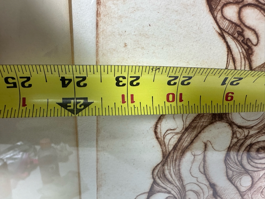 Limited Edition Hand Signed Print Titled 'Metamorphosis' Numbered 2 Of 8 24 X 19 Framed 32 X 26.5 [Photo 15]