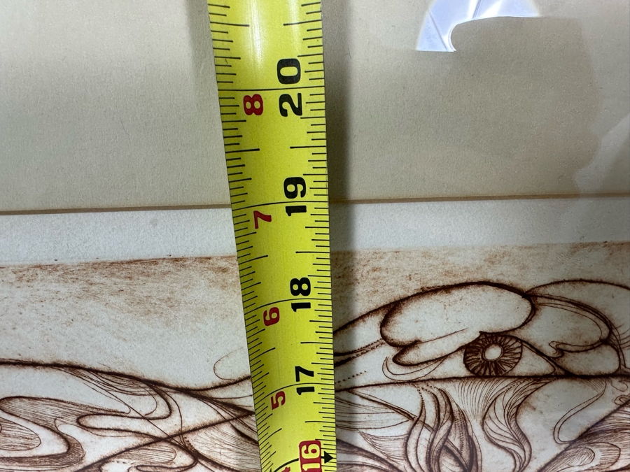 Limited Edition Hand Signed Print Titled 'Metamorphosis' Numbered 2 Of 8 24 X 19 Framed 32 X 26.5 [Photo 16]