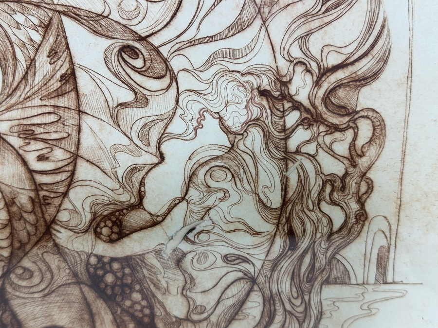 Limited Edition Hand Signed Print Titled 'Metamorphosis' Numbered 2 Of 8 24 X 19 Framed 32 X 26.5 [Photo 13]