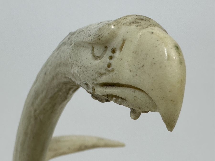 Artist Signed Carved Antlers In Form Of Eagle's Head 12W X 8D X 10H [Photo 6]