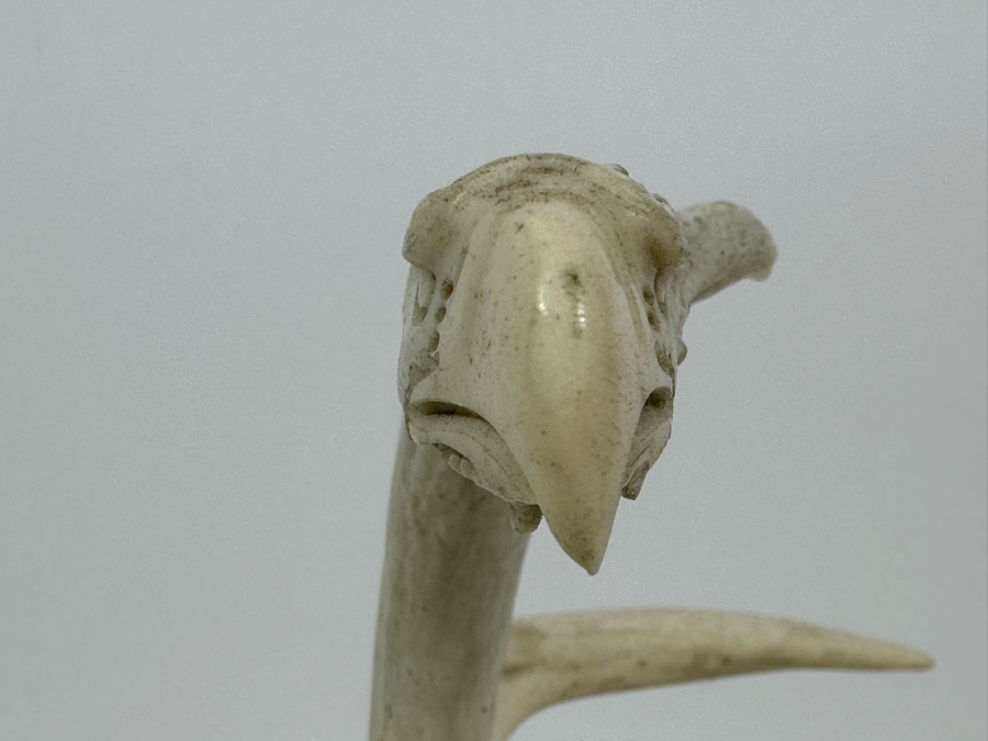 Artist Signed Carved Antlers In Form Of Eagle's Head 12W X 8D X 10H [Photo 5]