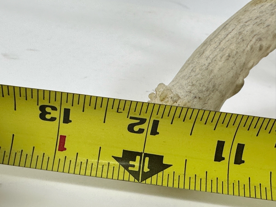 Artist Signed Carved Antlers In Form Of Eagle's Head 12W X 8D X 10H [Photo 9]