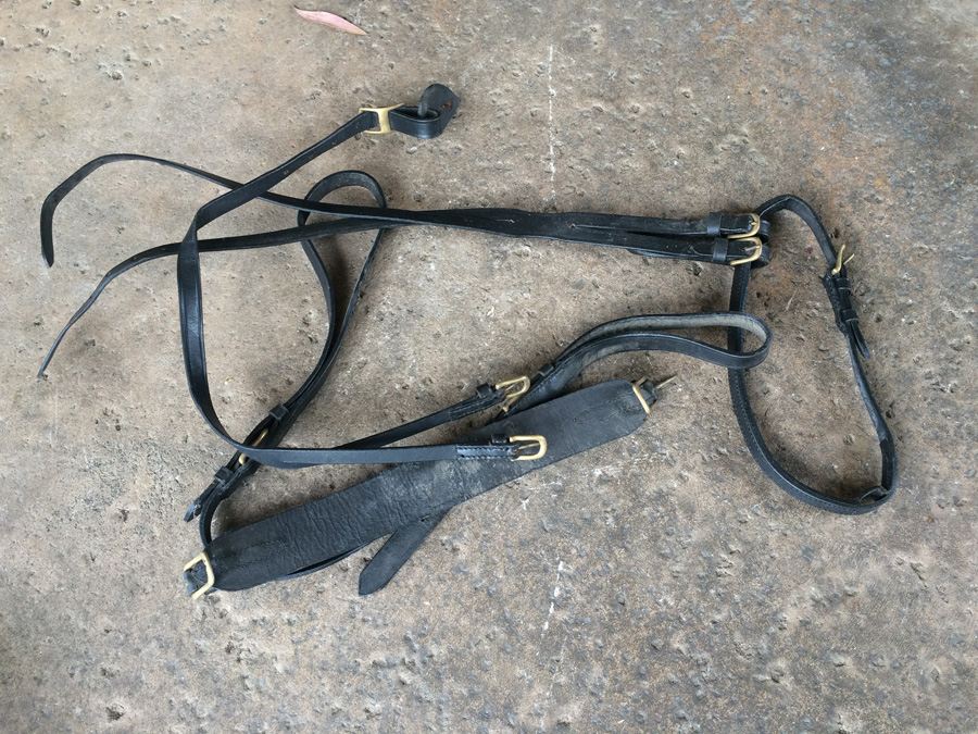 Governess Buggy with Complete Harness [Photo 30]