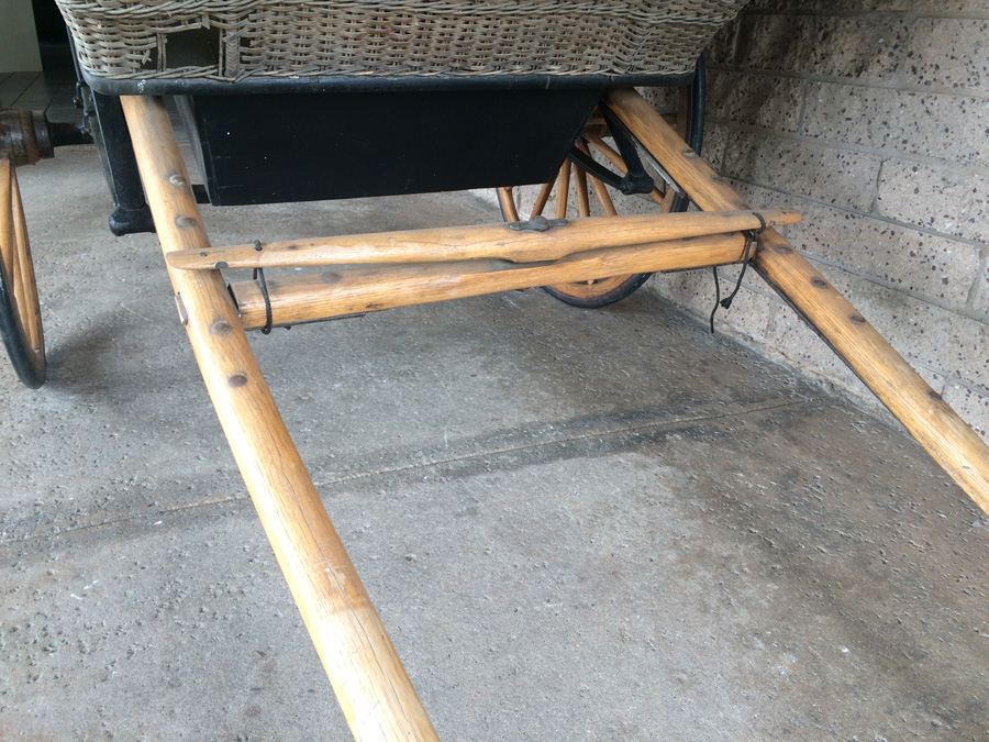 Governess Buggy with Complete Harness [Photo 13]