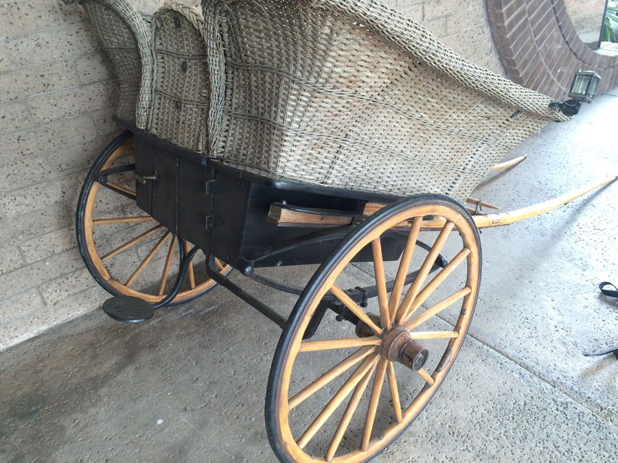 Governess Buggy with Complete Harness [Photo 17]