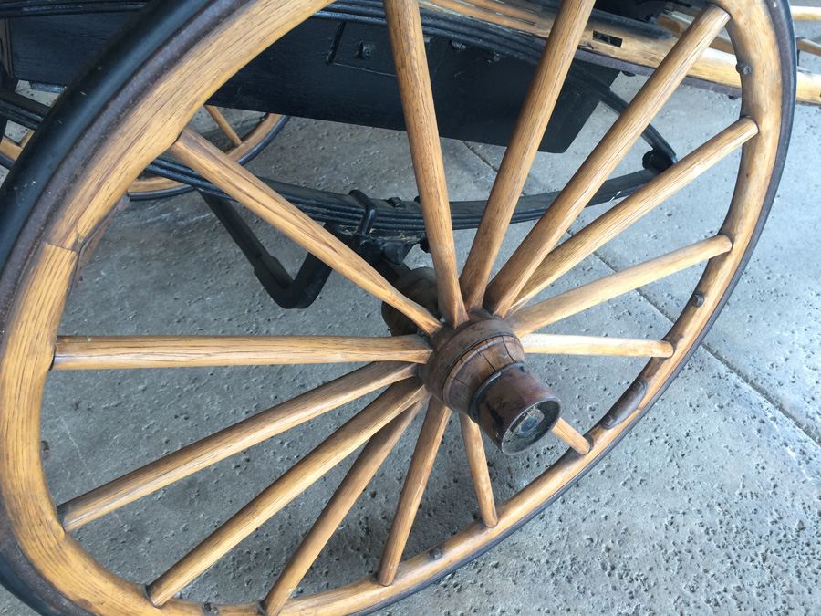 Governess Buggy with Complete Harness [Photo 21]