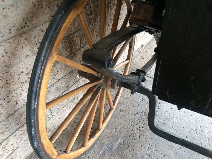 Governess Buggy with Complete Harness [Photo 10]