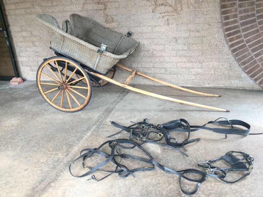 Governess Buggy with Complete Harness