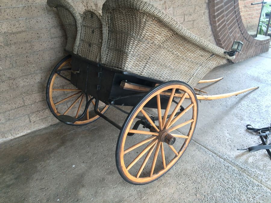 Governess Buggy with Complete Harness [Photo 20]