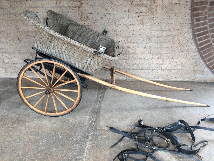 Governess Buggy with Complete Harness [Photo 2]