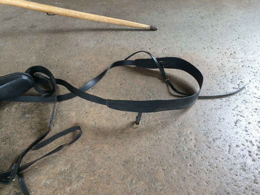 Governess Buggy with Complete Harness [Photo 32]