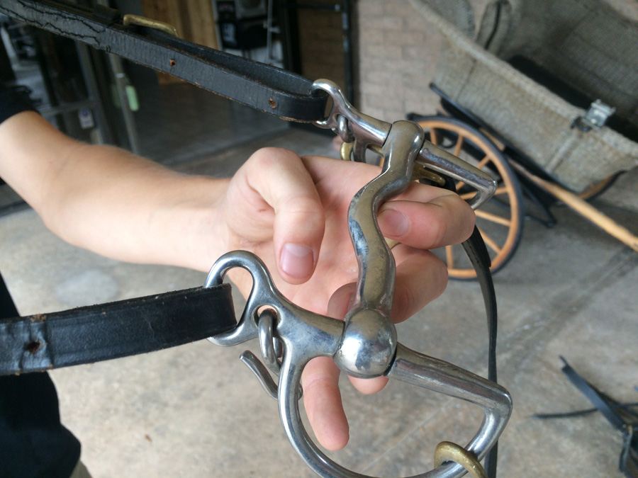 Governess Buggy with Complete Harness [Photo 29]