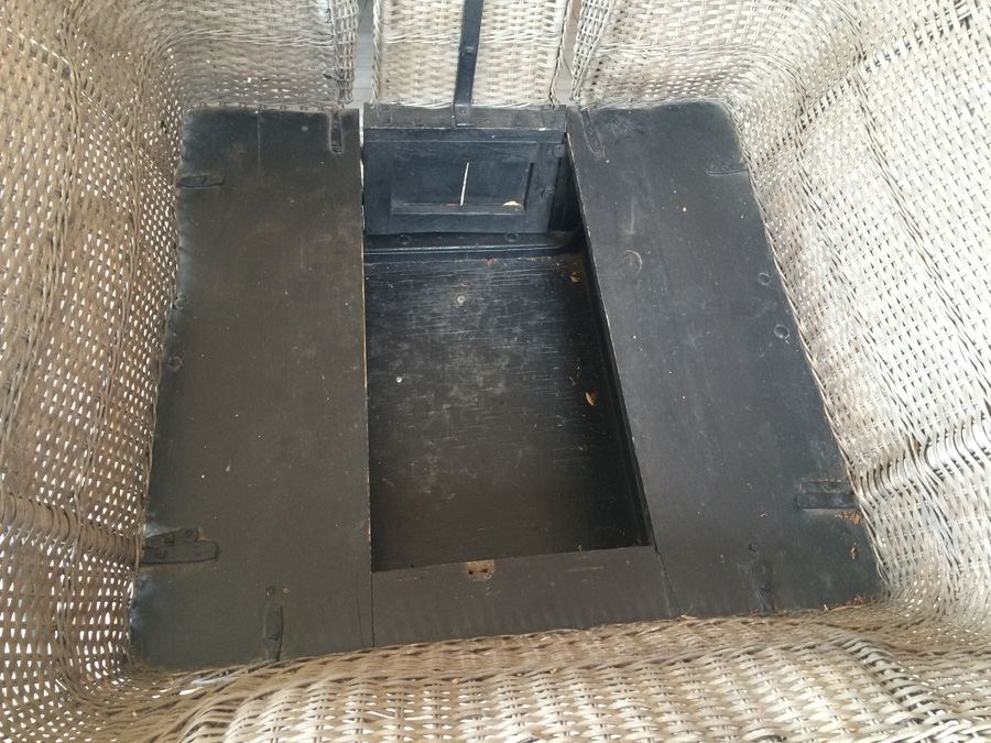 Governess Buggy with Complete Harness [Photo 12]