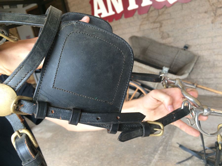 Governess Buggy with Complete Harness [Photo 28]