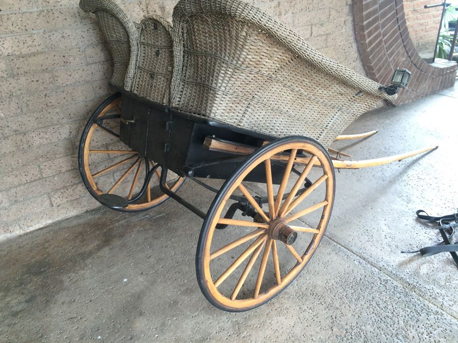 Governess Buggy with Complete Harness [Photo 19]