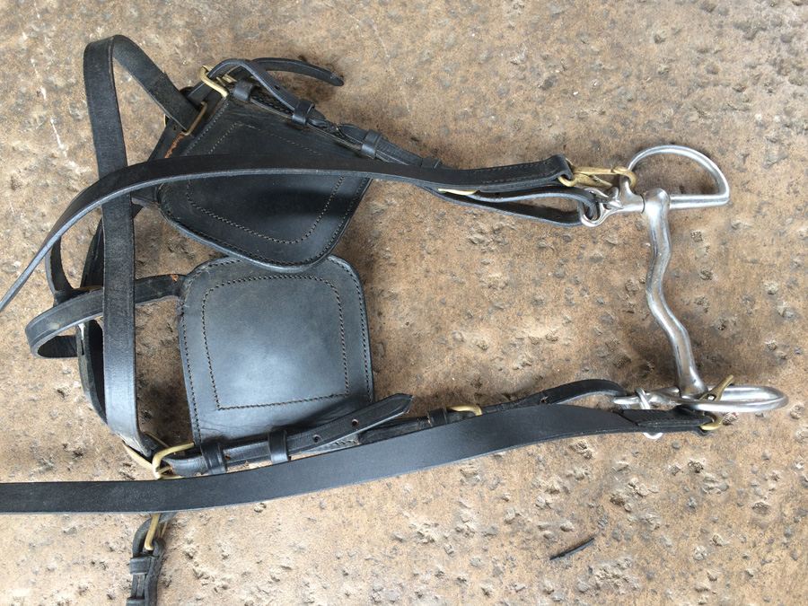 Governess Buggy with Complete Harness [Photo 26]