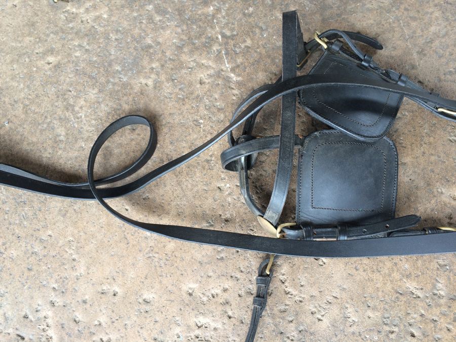 Governess Buggy with Complete Harness [Photo 27]