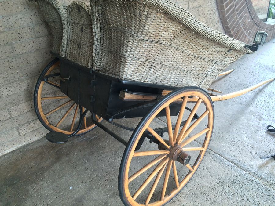 Governess Buggy with Complete Harness [Photo 18]