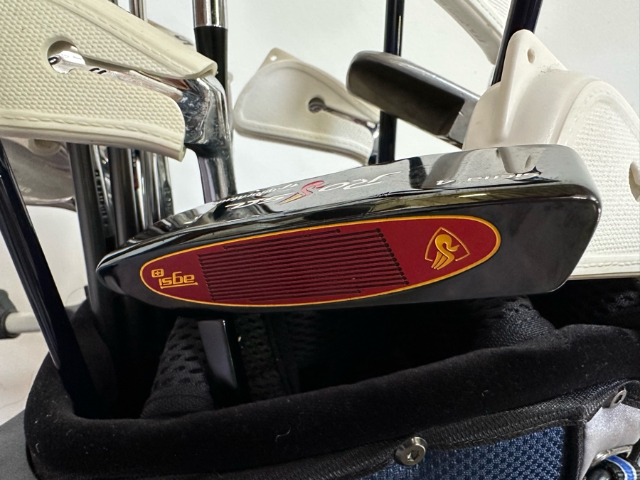Golf Clubs (Nicklaus, Ben Hogan, Taylor Made Rossa Siena 4 Putter) With Nike Golf Bag - See Photos [Photo 10]