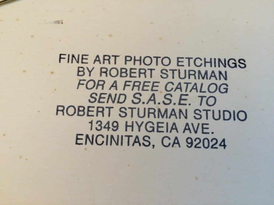 Submerged VW Bug Limited to 84/250 by Local Artist Robert Sturman [Photo 11]