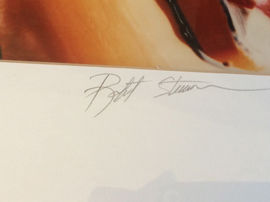 Submerged VW Bug Limited to 84/250 by Local Artist Robert Sturman [Photo 4]