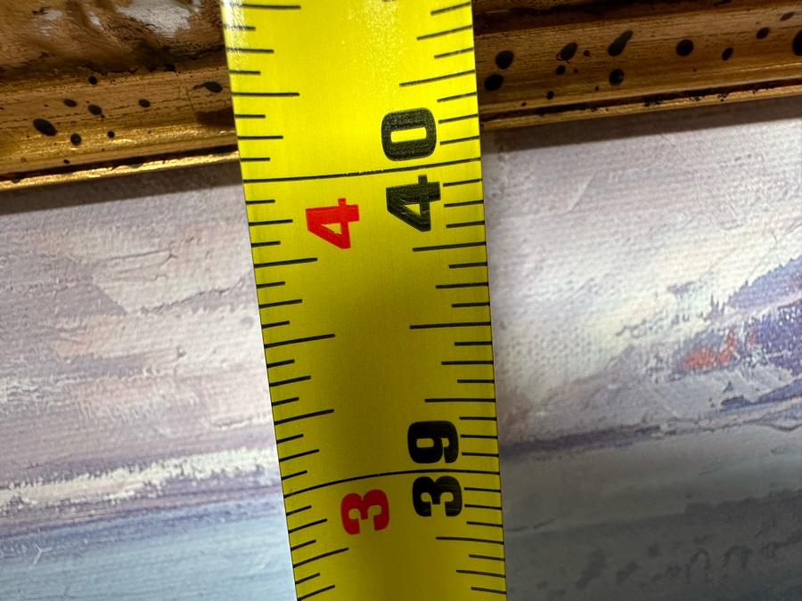 Pair Of Canvas Prints 20 X 40 Framed 27 X 47 [Photo 22]