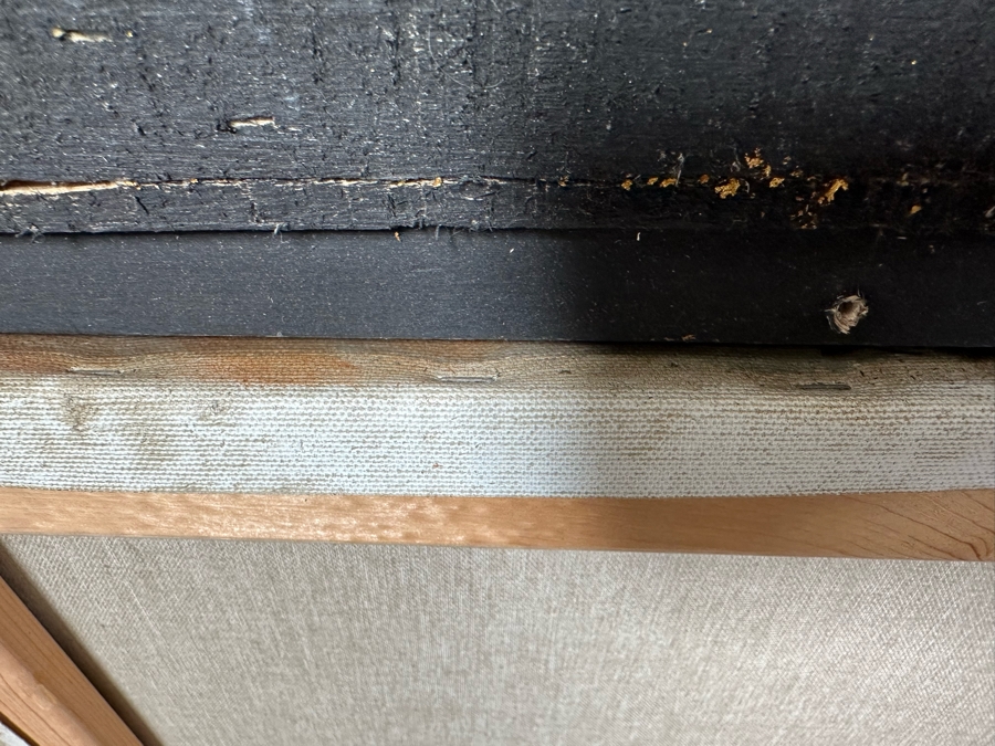 Original Still Life With Parrot And Fruit Painting On Canvas Signed Schroter 40 X 30 Framed 54.5 X 45 [Photo 21]