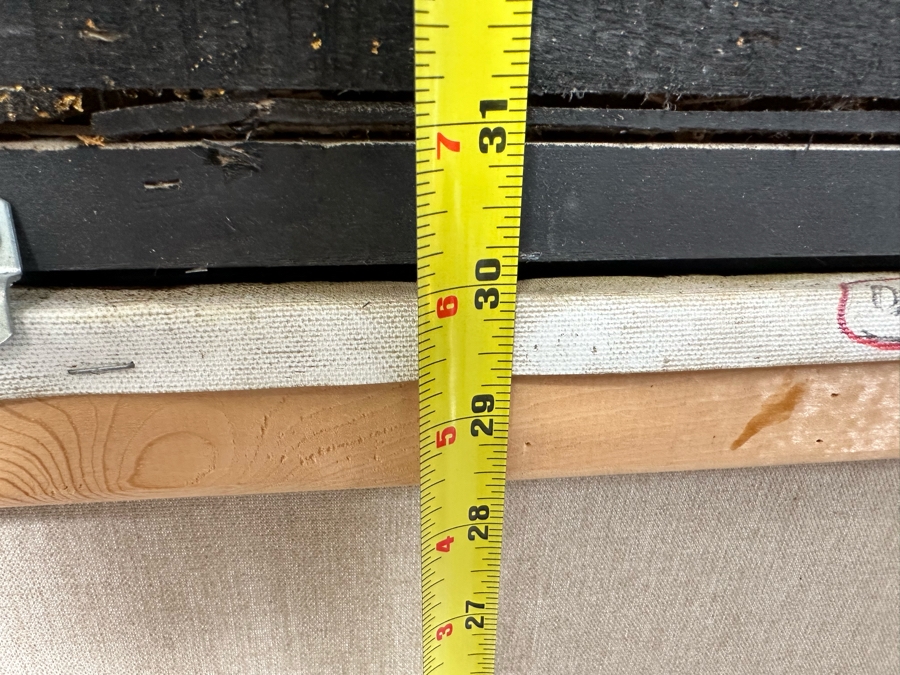 Original Still Life With Parrot And Fruit Painting On Canvas Signed Schroter 40 X 30 Framed 54.5 X 45 [Photo 25]