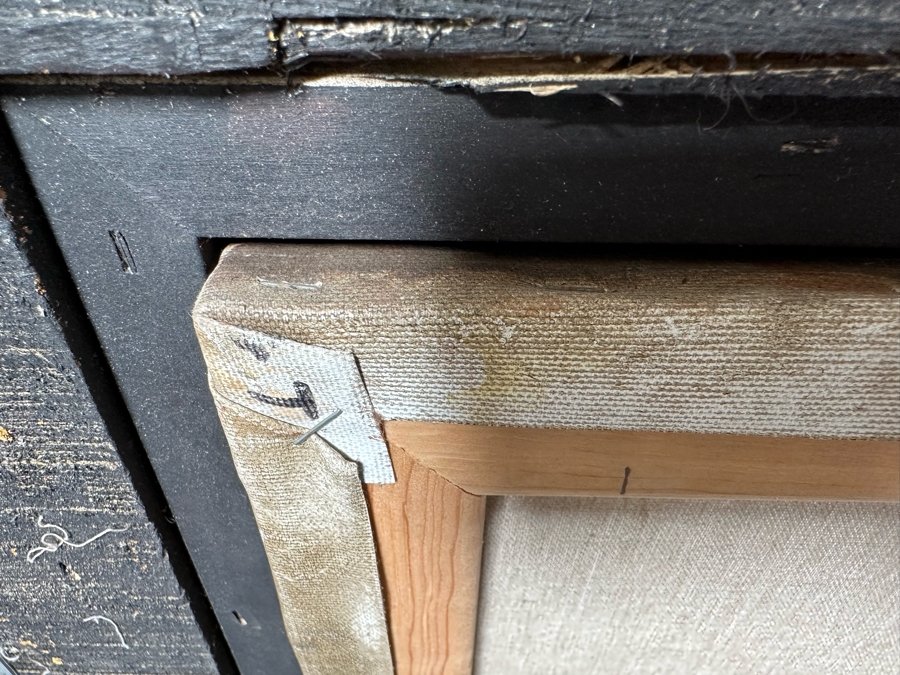 Original Still Life With Parrot And Fruit Painting On Canvas Signed Schroter 40 X 30 Framed 54.5 X 45 [Photo 20]