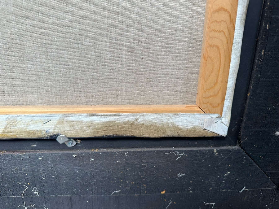 Original Still Life With Parrot And Fruit Painting On Canvas Signed Schroter 40 X 30 Framed 54.5 X 45 [Photo 23]