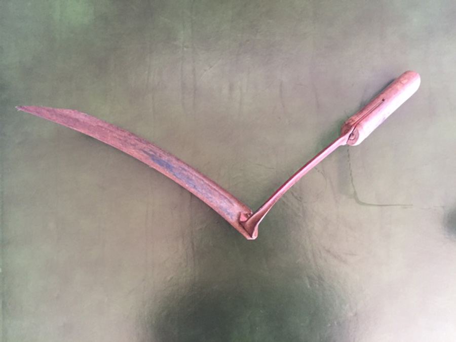 Pair of Sickles [Photo 4]