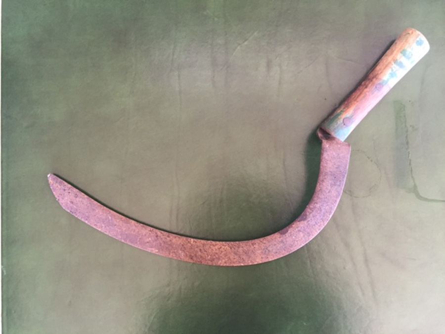 Pair of Sickles [Photo 2]
