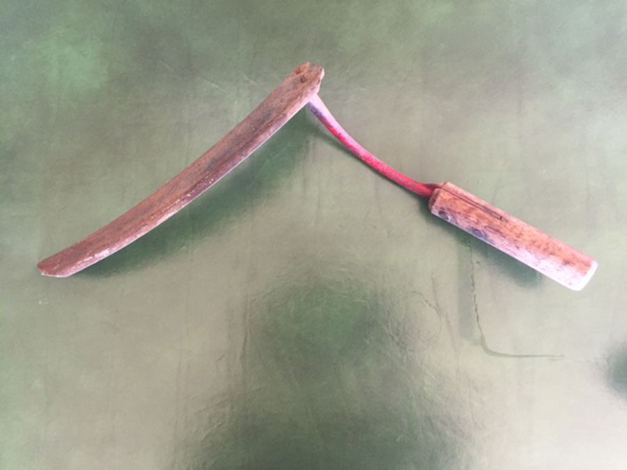 Pair of Sickles [Photo 5]