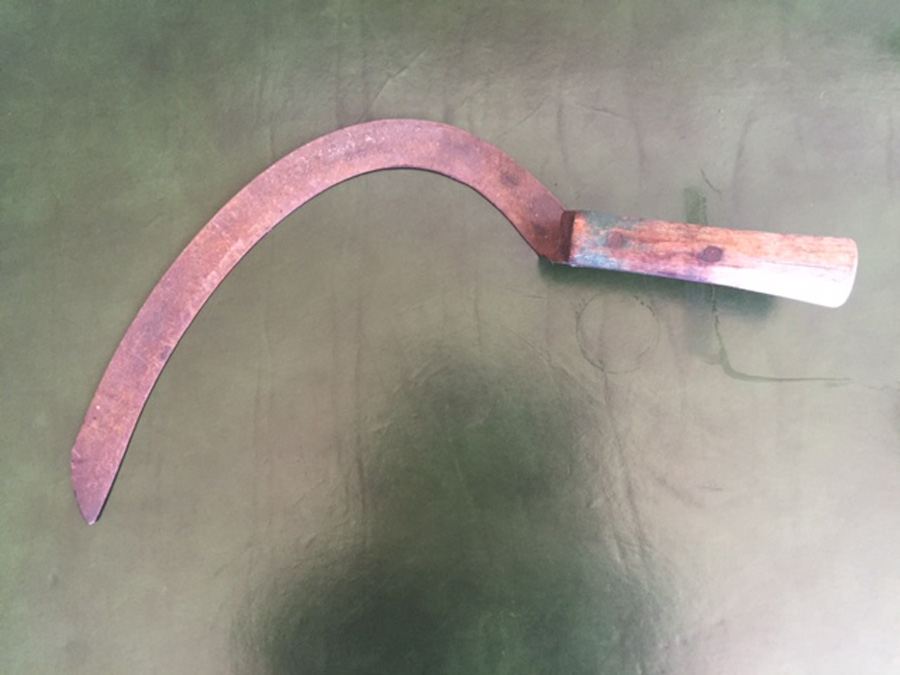 Pair of Sickles [Photo 3]