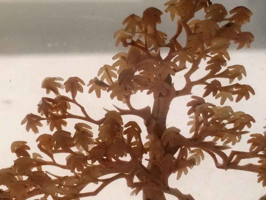 Vintage Asian Lot [Photo 6]