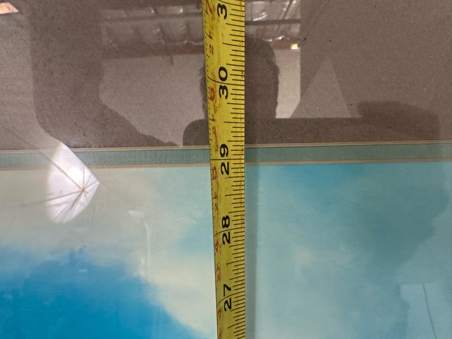 Hand Signed Robert Wyland Print 22 X 29 Framed 29 X 36 [Photo 7]