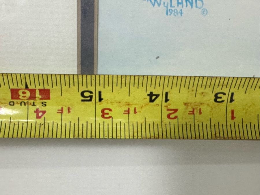 Hand Signed Robert Wyland Print 15 X 19 Framed 22.5 X 26.5 [Photo 6]