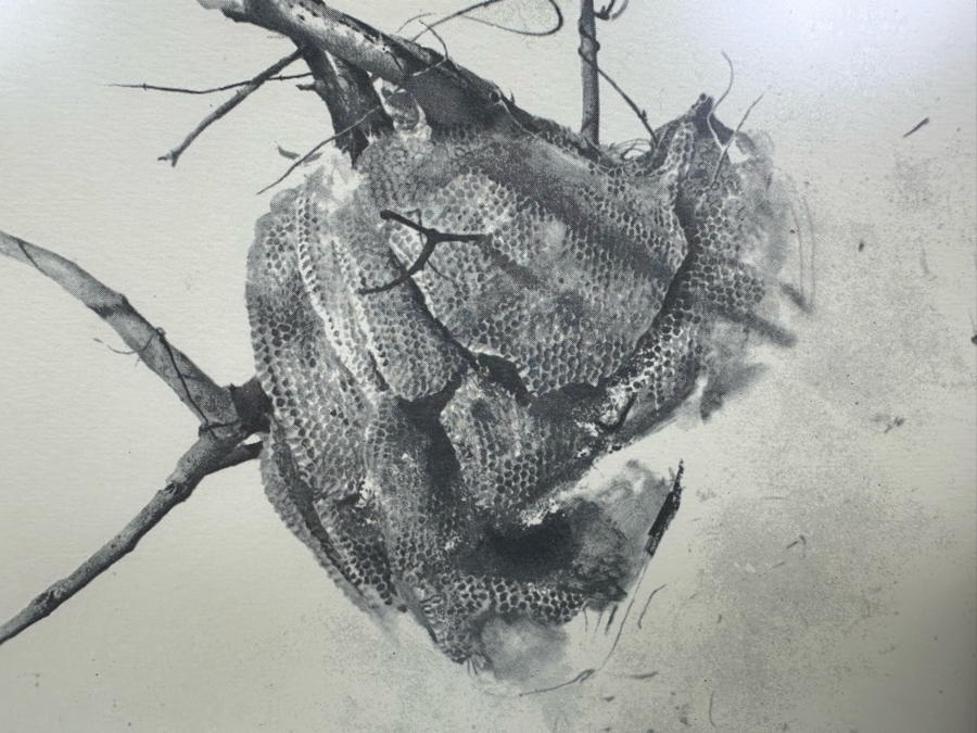 Andrew Wyeth 'Storing Up' Print 6.5 X 8 Framed 12 X 13.5 [Photo 5]