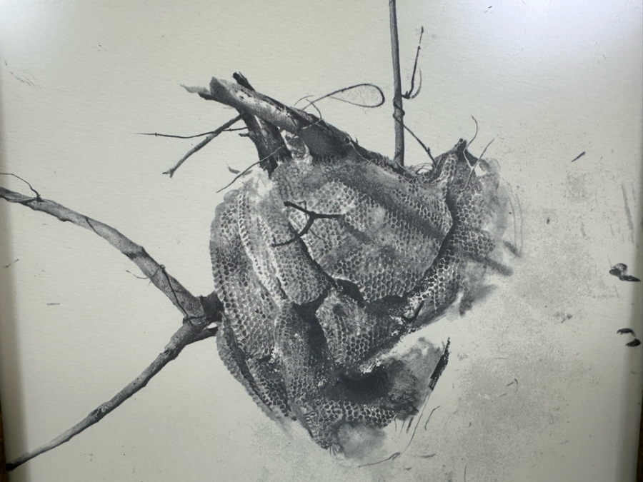 Andrew Wyeth 'Storing Up' Print 6.5 X 8 Framed 12 X 13.5 [Photo 4]