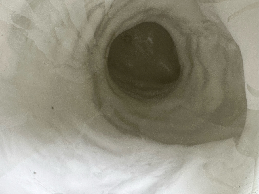 Large Ceramic Dog Made In Italy 23H [Photo 8]