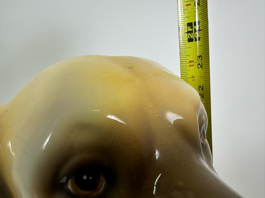 Large Ceramic Dog Made In Italy 23H [Photo 9]
