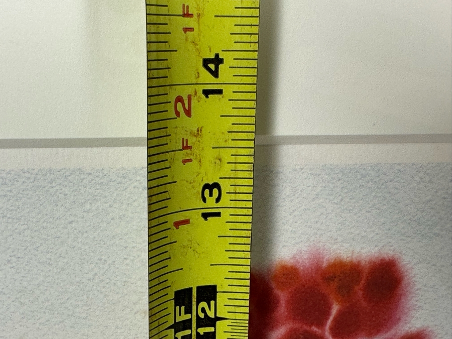 Wang Lan (1922-2003, Taiwan, Province of China) Hand Signed Limited Edition Print Numbered 199 Of 300 18 X 13.5 Framed 28 X 22 [Photo 11]