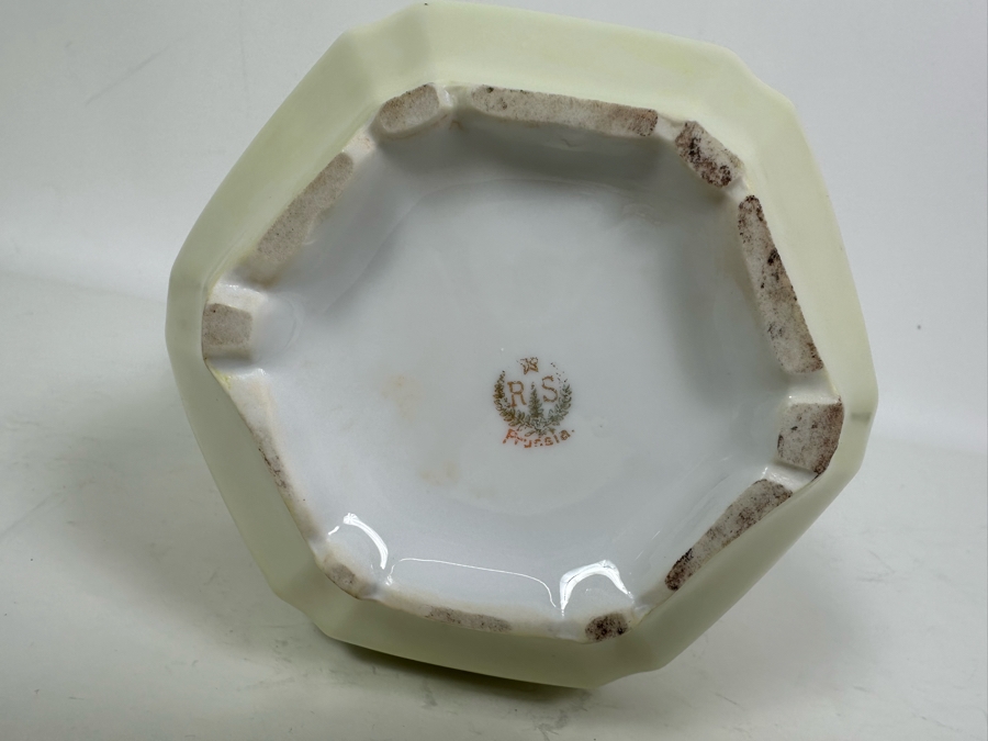 R.S. Prussia Hand Painted Chocolate Pot 11.5H [Photo 9]