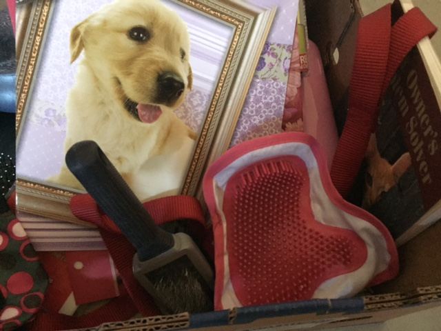 Pet Supply Lot [Photo 4]